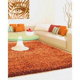 Kusový koberec Efor Shaggy...