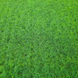 Umělá tráva Green